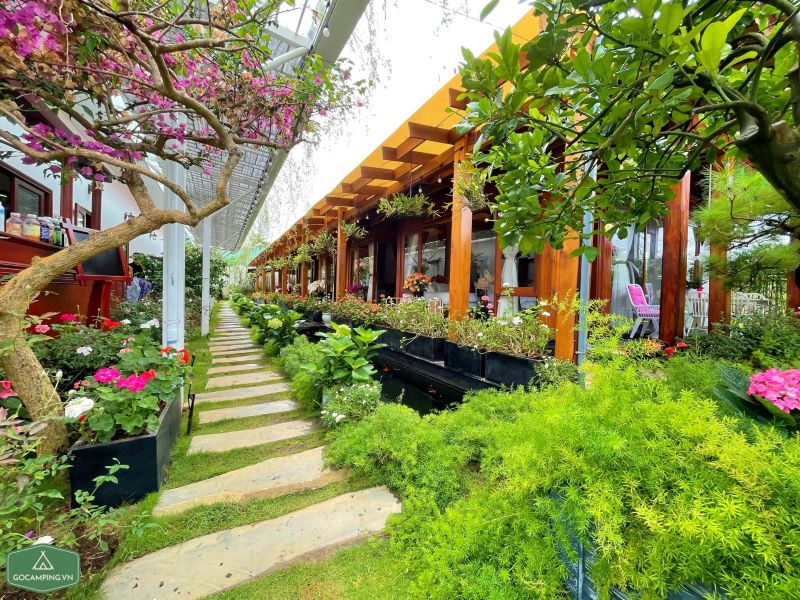 Vườn Trà Homestay Măng Đen